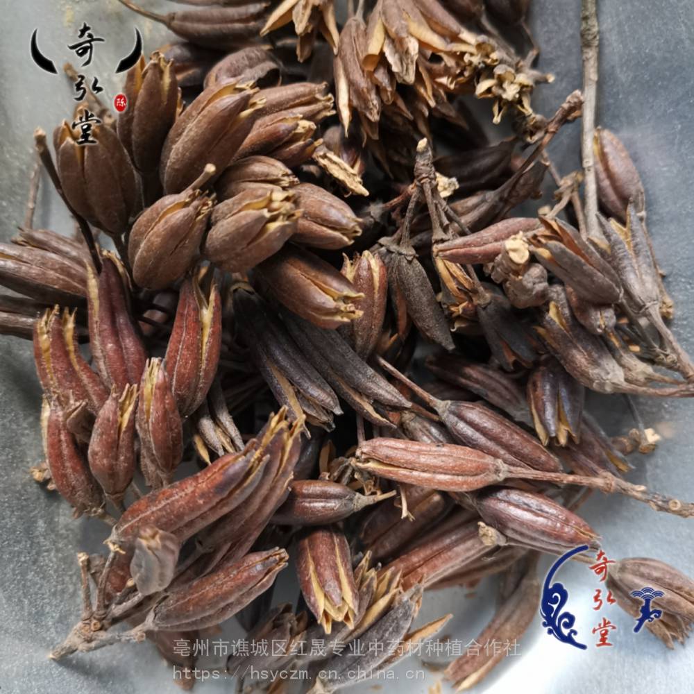 野生羊踯躅果价格是多少