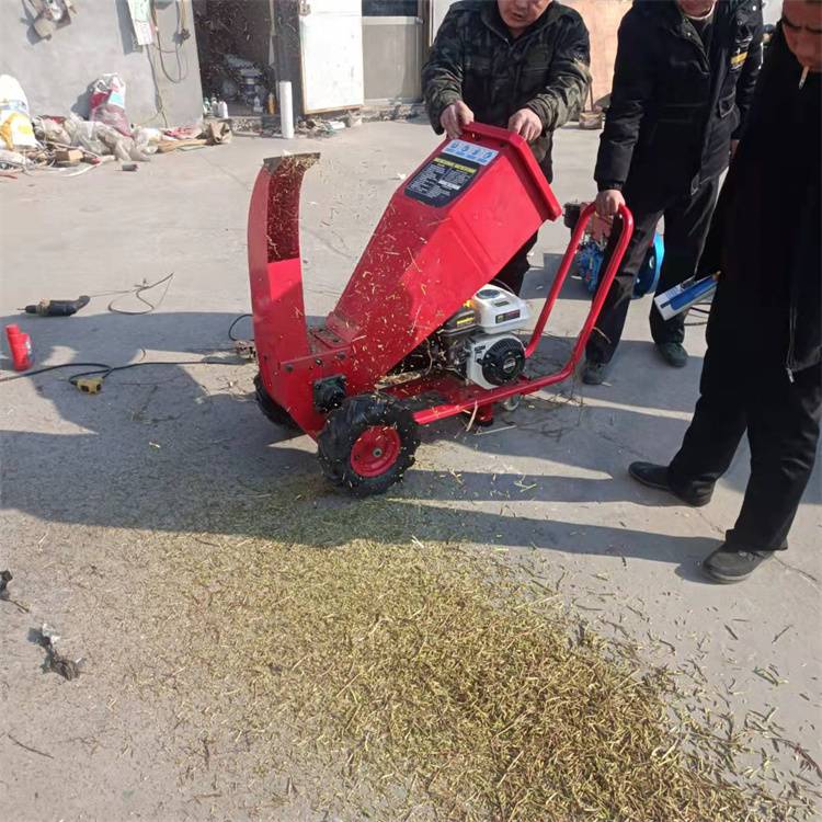 汽油树枝粉碎机残枝鲜枝破碎机立式柴油树枝打糠机