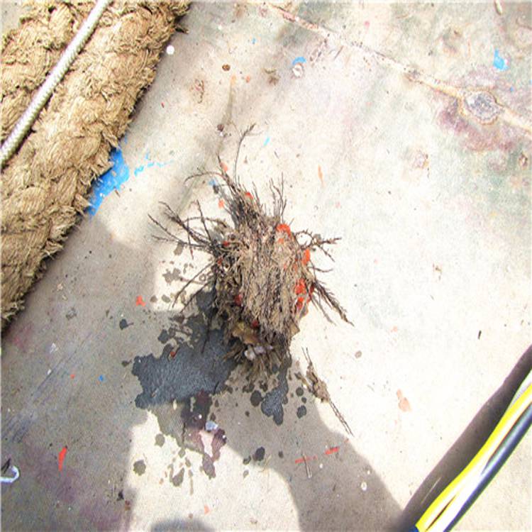朝阳闸门水下堵漏工程专业施工队伍保障桥梁安全