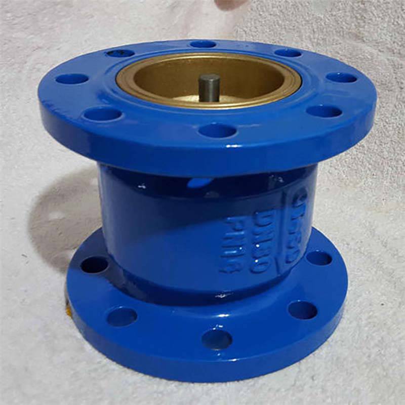 hc4116qq铸铁材质水泵用消声止回阀图片