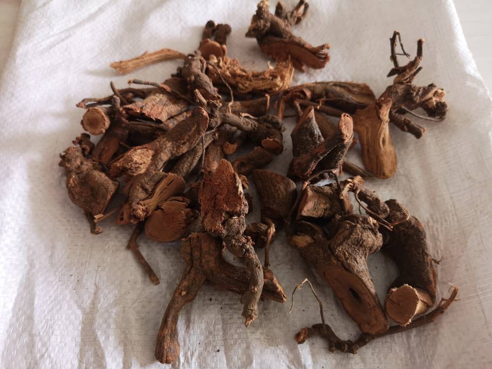 中药材大红袍根图片大红袍功能主治大红袍药用价值