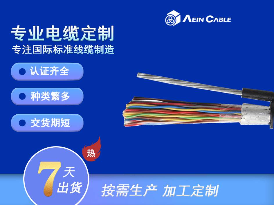 埃因 起重机专用电缆——双钢丝葫芦手柄电缆 RVV2G