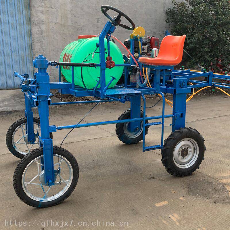 亩产7吨每吨540元！博白沙河老乡这样点“荒”成金年入上千万