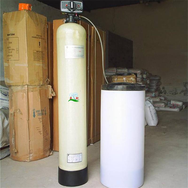 产水量2th软化水离子交换设备全自动软水器新疆