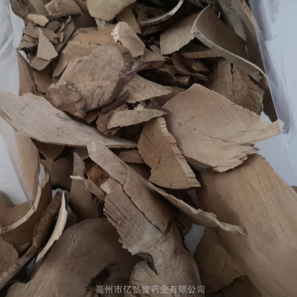 巴豆树根图片