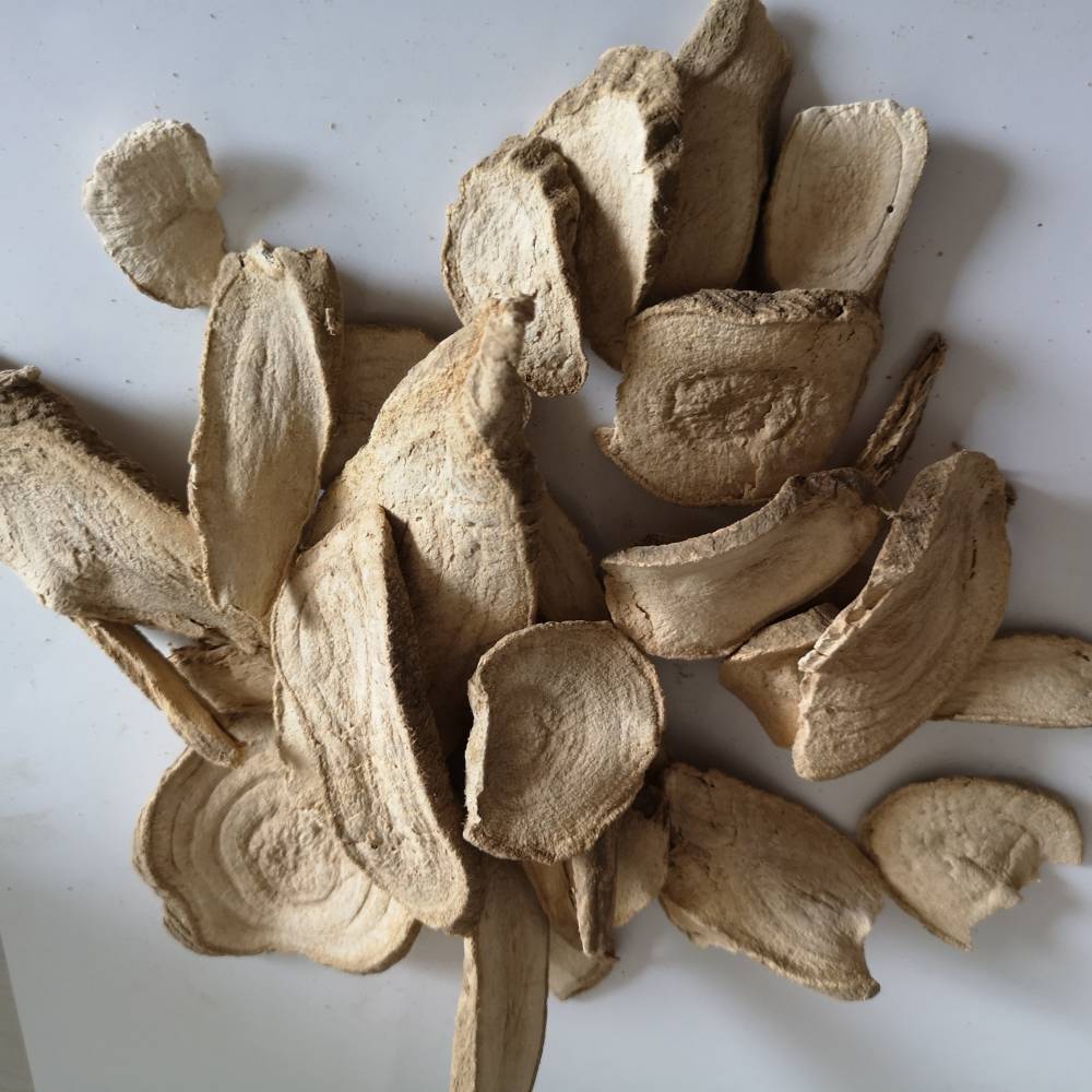 中药大罗伞朱砂根价格