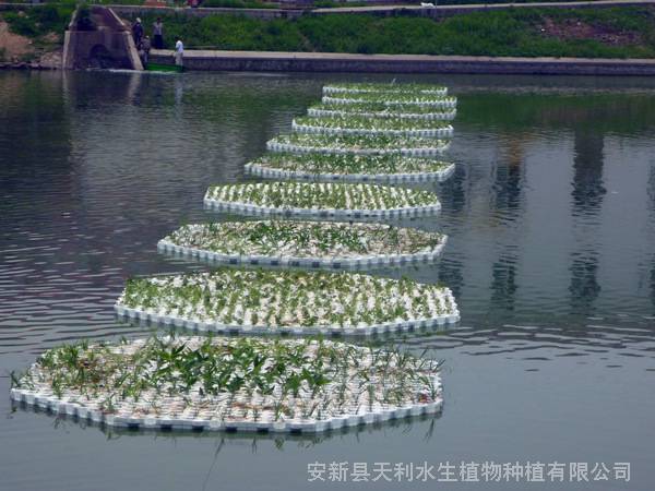 抗风浪泡沫人工浮岛,不怕冰冻,工人可直接在浮岛上施工