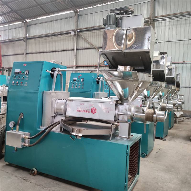 源德芝麻花生油压榨设备卧式条排胡麻螺旋榨油机
