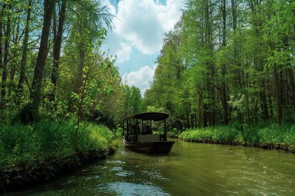 同里国家湿地公园 同里国家湿地公园