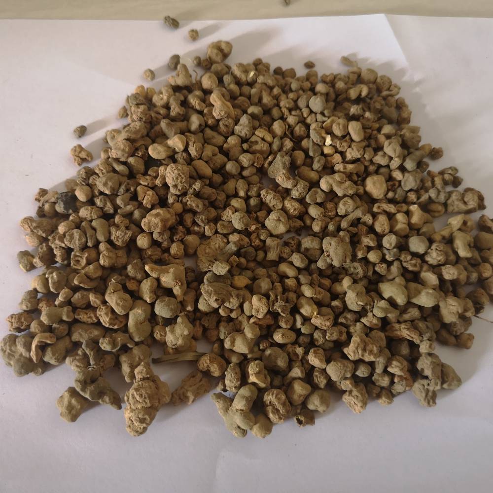 夏天无哪里购买夏天无的药用价值夏天无价格多少一公斤