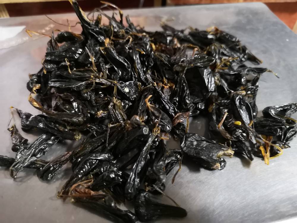 山茱萸药用用法及用量山萸肉药用有什么药效