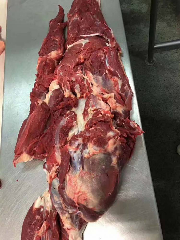 供应新疆驴肉冻驴肉三分体新疆驴肉冻驴腿肉好货