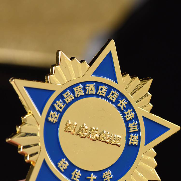 企业logo荣誉奖章学校金属烤漆班徽校徽公司活动胸章胸针胸牌