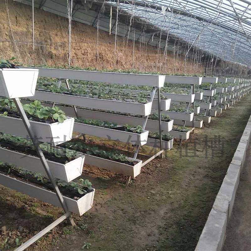 草莓种植槽pvc大棚蔬菜基质槽图片