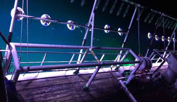 三星led诱鱼灯cob光源集鱼灯100w300w光源秋刀鱼红蓝白光cob