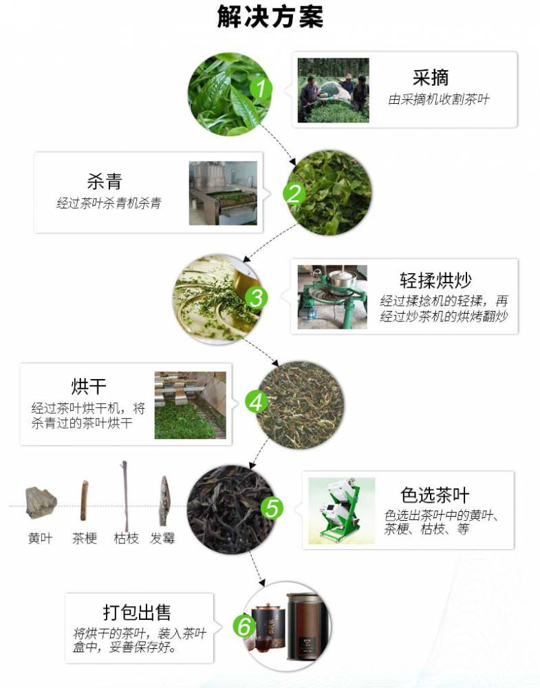 竹叶青茶制作工艺流程图片