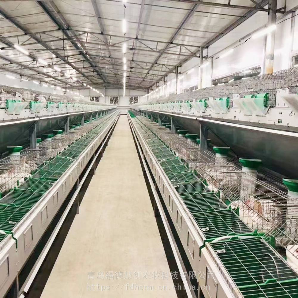 双层欧式兔笼 子母繁育一体内置产仔箱兔笼兔子养殖繁育笼 多层养殖兔