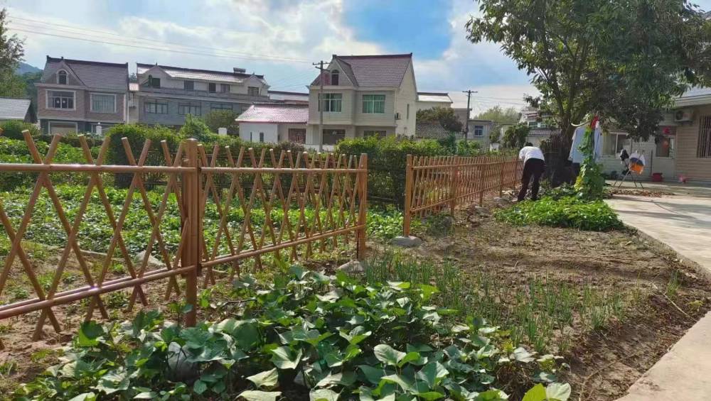 邢台广宗竹篱笆防腐竹围栏竹篱笆仿竹栅栏