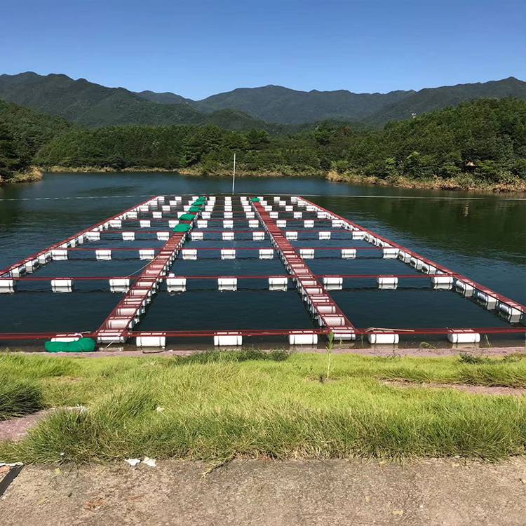 定做網箱養魚網箱拉網拖網養魚網箱福利定做分魚苗網箱