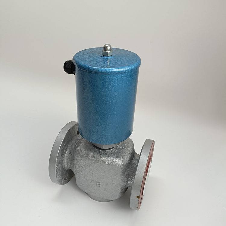 双向法兰式电磁阀电磁阀中西器材型号23335201601dn40ac220v01