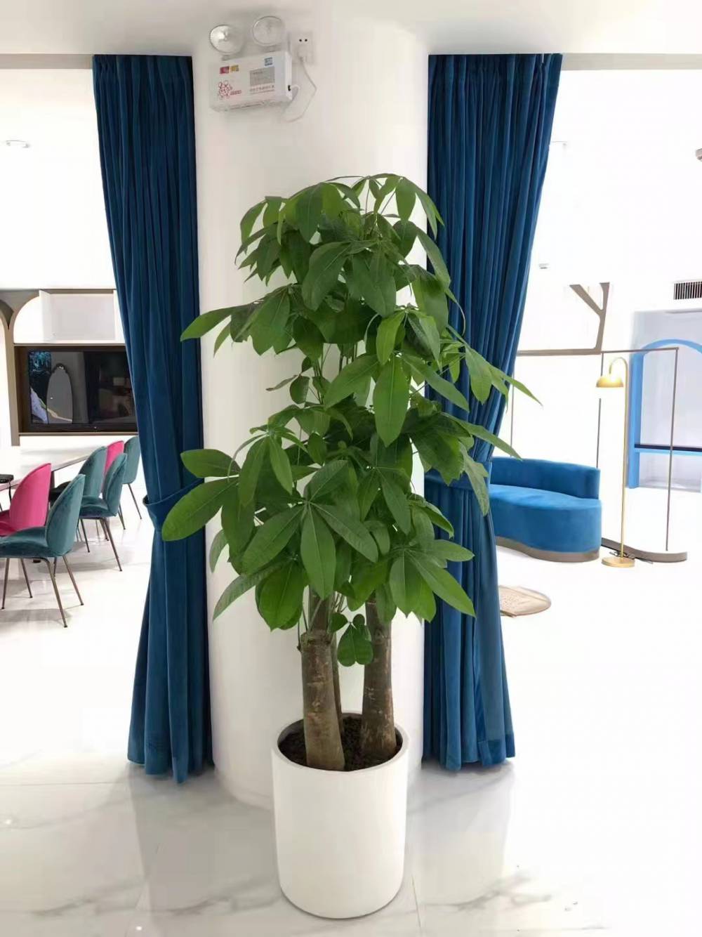 海口电梯广告投放自贸区小区海南汽车小镇