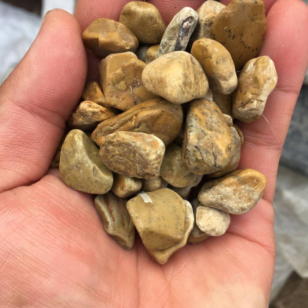 黄色洗米石登峰供应米黄色洗米石砾石