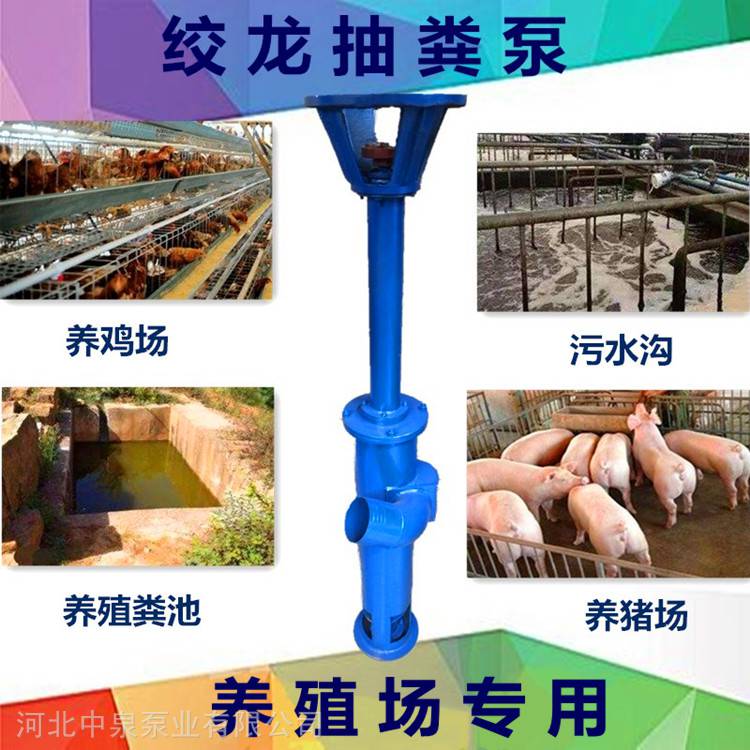 中泉切割抽粪泵 黄墩无堵塞螺旋绞龙抽粪泵 粪便干湿两用抽粪机河北促销价格