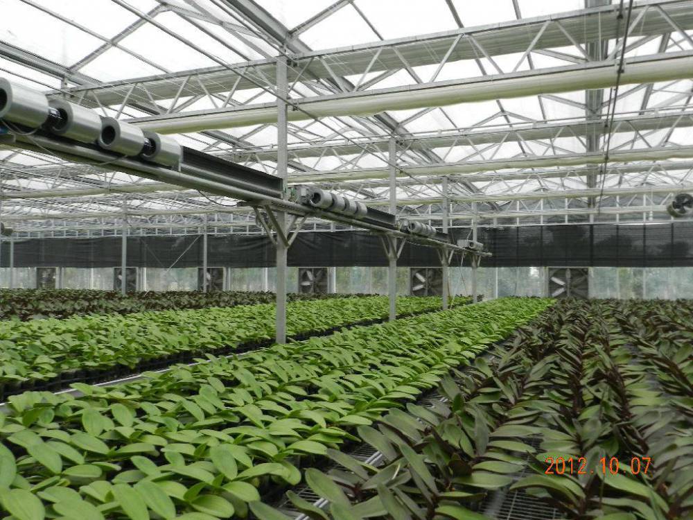 青州鑫泽温室玻璃智能花卉温室花卉智能连栋温室智能玻璃苗床温室