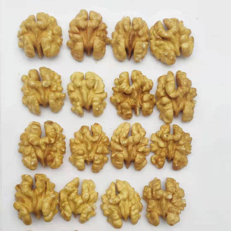 云南核桃仁阿克苏核桃仁坚果仁烘焙原料核桃仁生产工厂价格 中国供应商