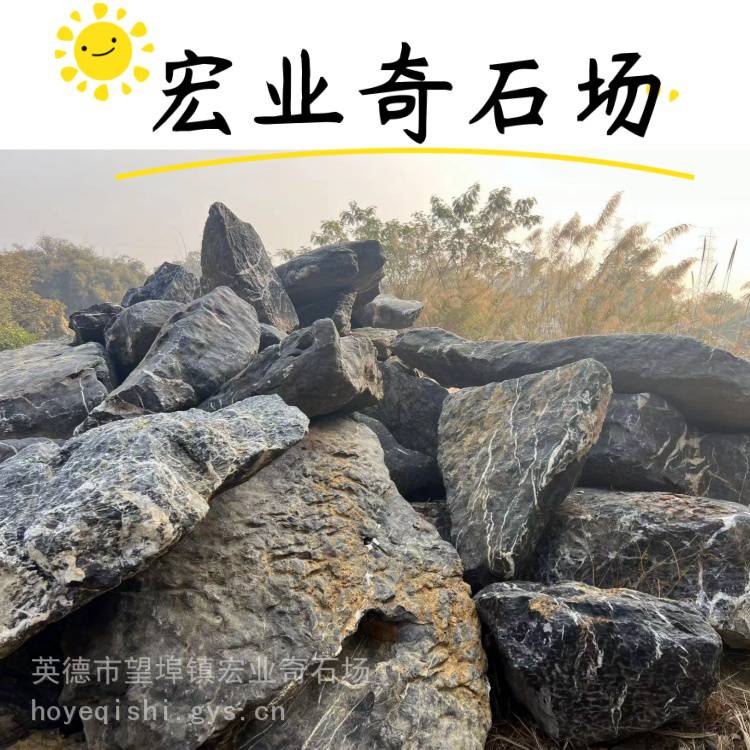 太湖石20 黄 太湖石20 差し込も 黄