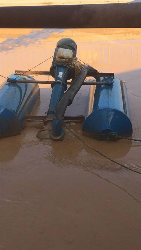 立式长轴污泥泵长轴污水污泥离心泵边立式无堵塞液下泵以诚为本