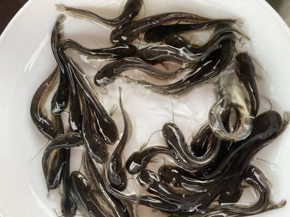 广州市花都区海轩水产商行