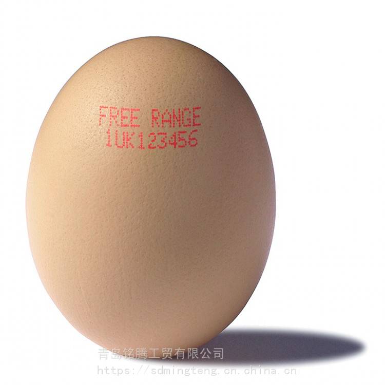 领新Linx7900鸡蛋喷码机 蛋品红墨喷码机