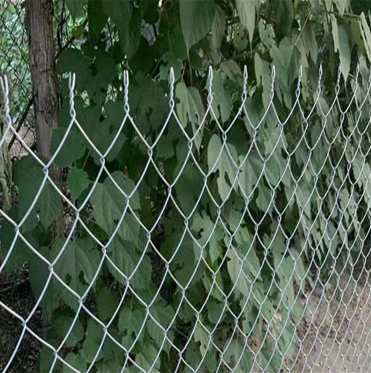 养狗防撞护栏菱形铁丝网养殖圈地果园动物园围栏钢丝勾花网