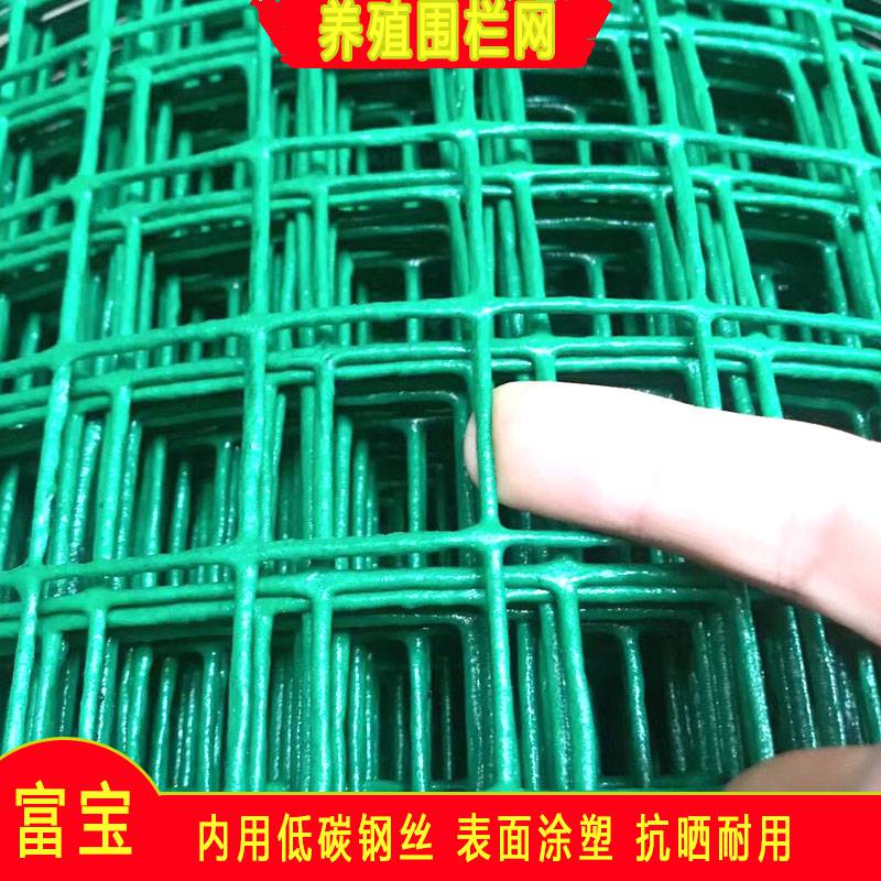 墨绿色 荷兰网 农业园林围栏网 包塑铁丝网