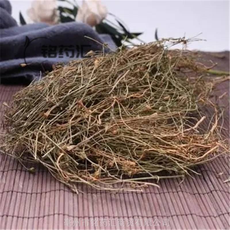 中药材兰花参兰花草蓝花参土参细叶沙参金线吊葫芦娃儿草乳浆草