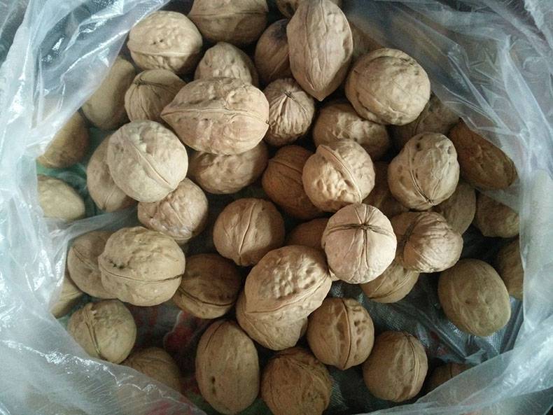 工厂生核桃果出口新疆核桃果185新二水洗与不洗各种规格