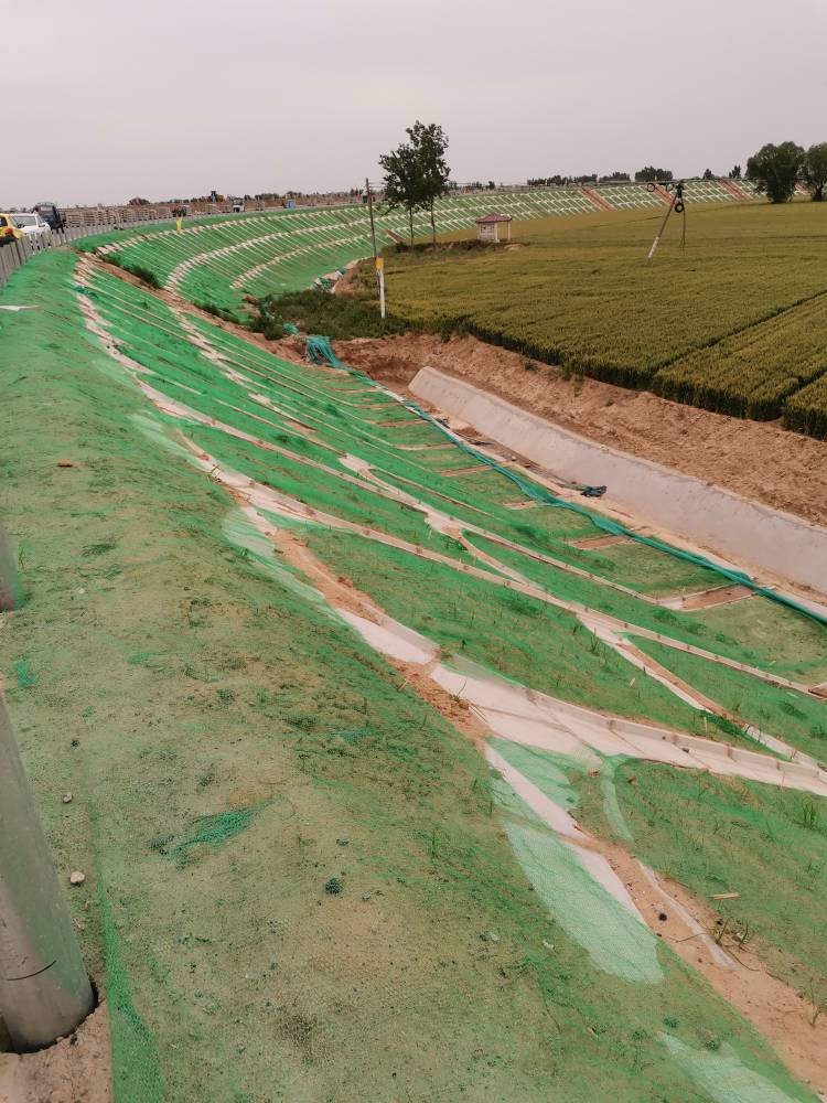 广东三维植被网土工网垫植草网绿化护坡植被网