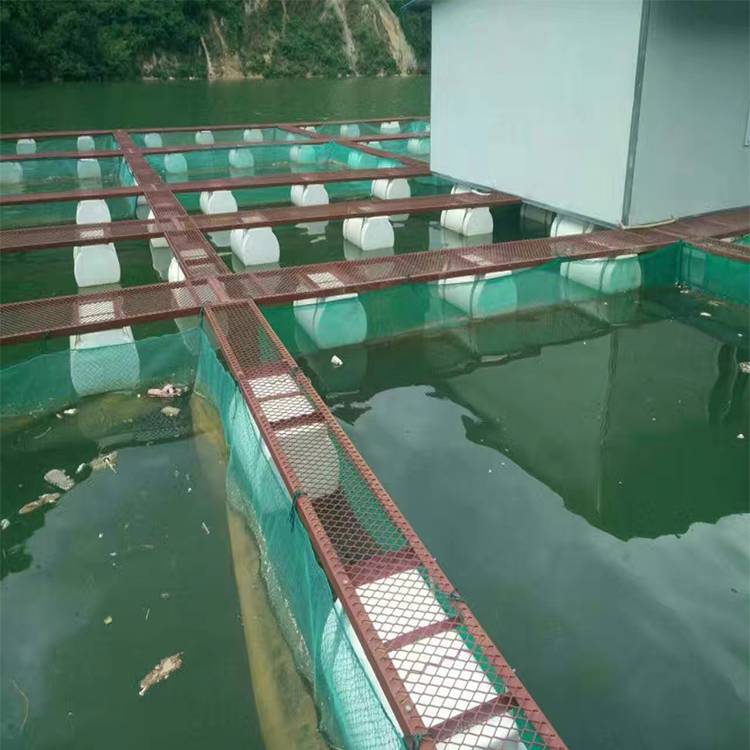 定做養魚網箱水蛭養殖網箱福利水產漁業育苗網箱