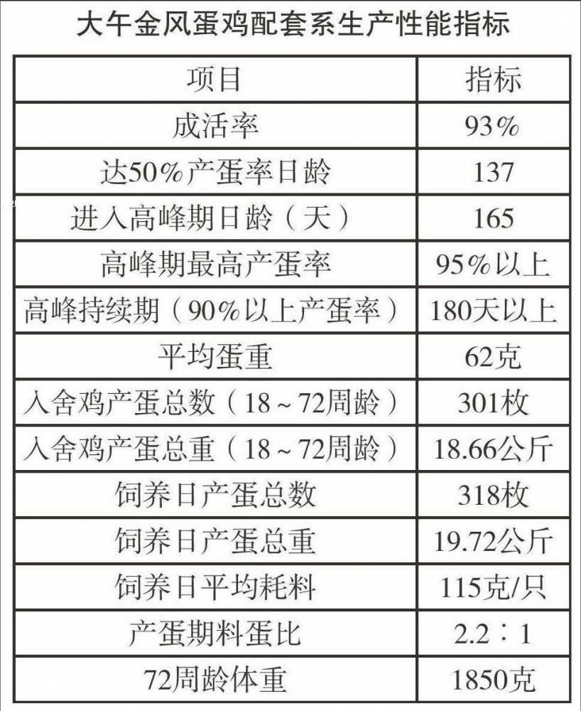 普洱60日龄天大午金凤青年鸡养殖昭通105日龄天海兰褐青年蛋鸡饲养