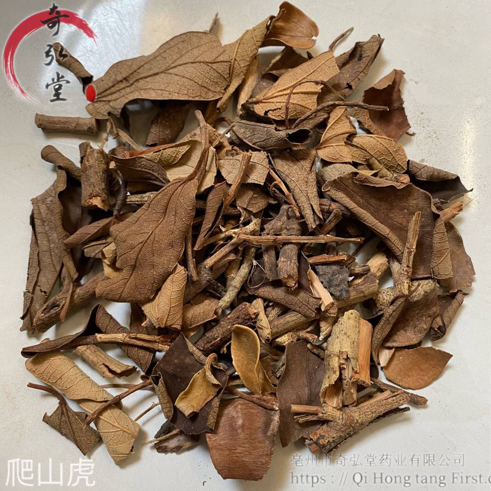 爬山虎中药材爬山虎哪里购买便宜