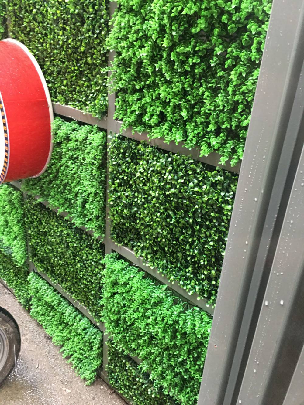 塑料绿植墙面装饰户外布置婚礼庭院壁挂仿真植物绿化背景浪漫花艺形象