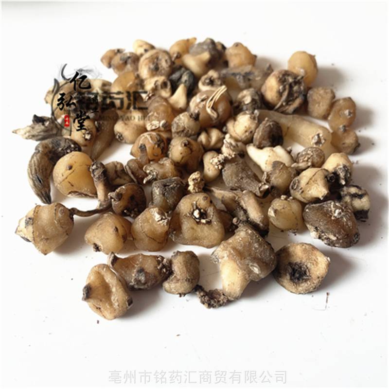 中药材野生山慈菇金灯花鹿蹄草毛慈姑泥冰子算盘七人头七