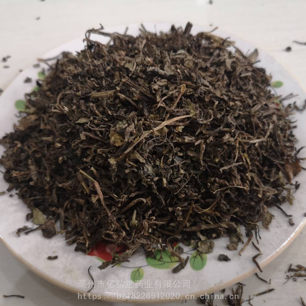 马齿苋哪里能买到野生货马齿苋多少钱