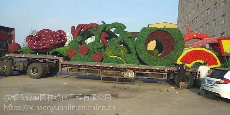 园林绿化草坪批发