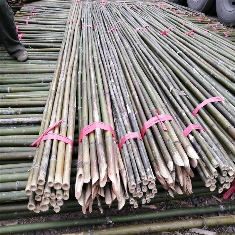 4米苦竹竿新苦竹江西苦竹