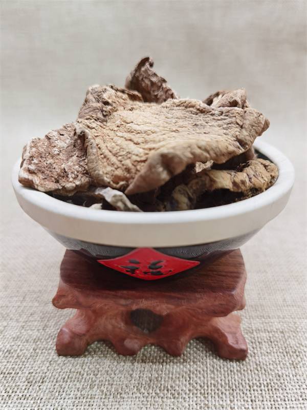 罗锅底种苗种植土马兜铃的药用功效罗锅底收购多少钱斤罗锅底别名叫