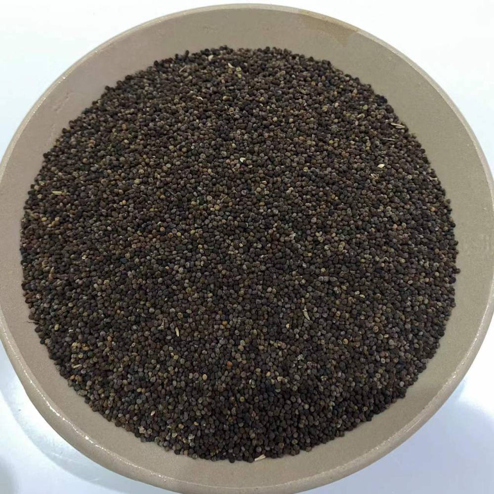 中药材白花菜子臭菜臭花菜羊角菜一公斤起售