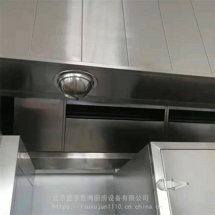 鲁博 风管排气罩 油烟净化器 生产厂家