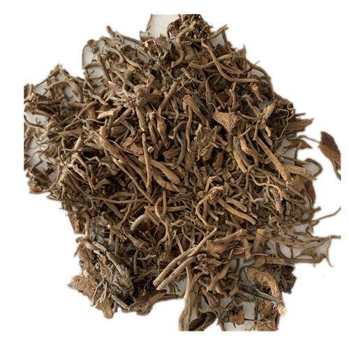 冷背药材狮子尾狮子尾的功效